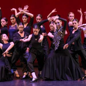 Fotografía de Talleres Baile Flamenco (galería 2) - Conservatorio de Danza